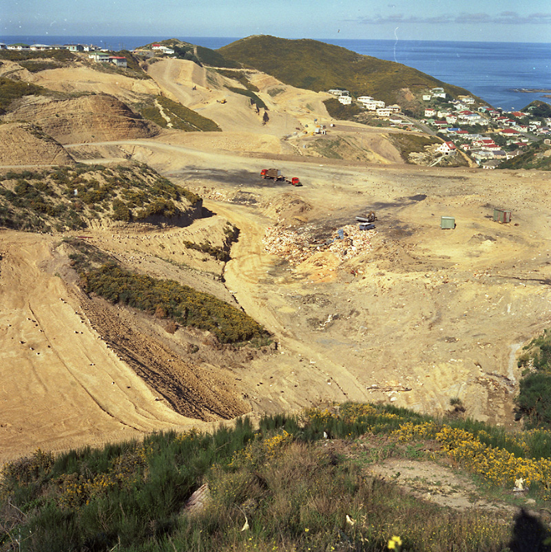 c. Tips and Spray Plant