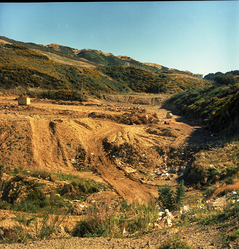 d. Tips and Spray Plant