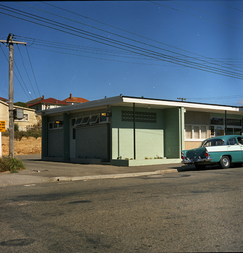 e. Tips and Spray Plant