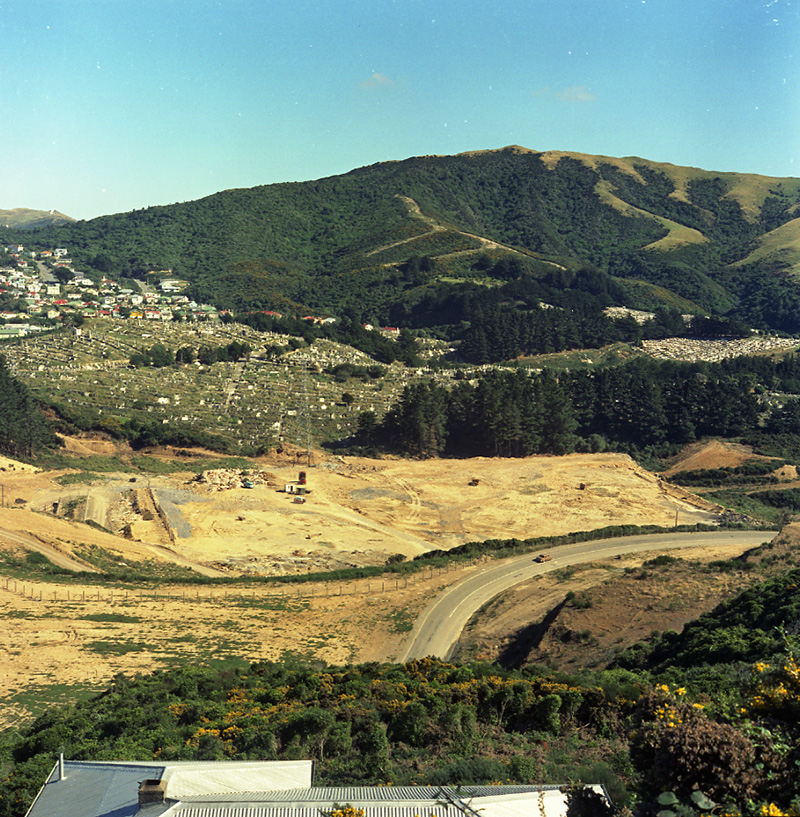 g. Tips and Spray Plant