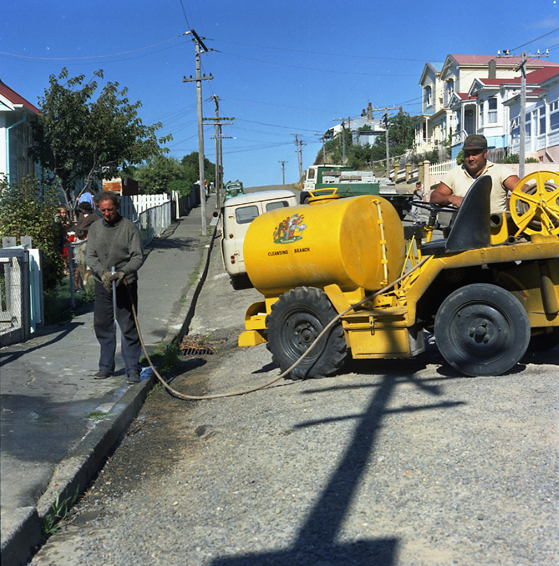 h. Tips and Spray Plant