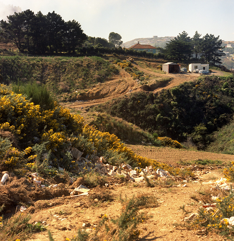 j. Tips and Spray Plant