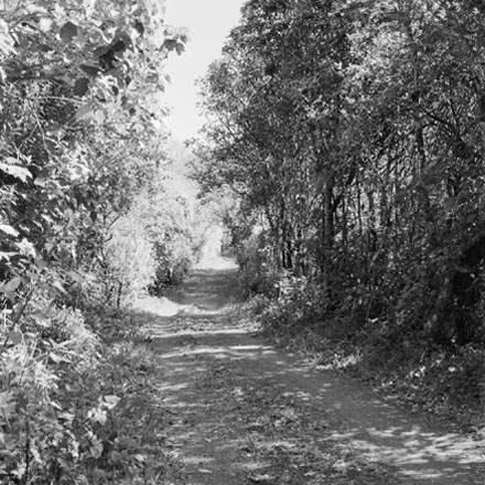b. 'Waterworks Reservoir, No Admittance without a permit in writing from the City Engineer'
