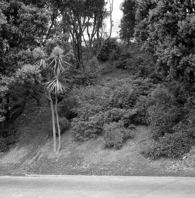 c. Salamanca Road