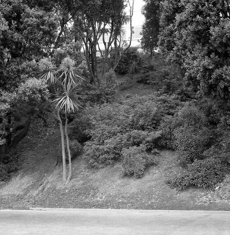 d. Salamanca Road
