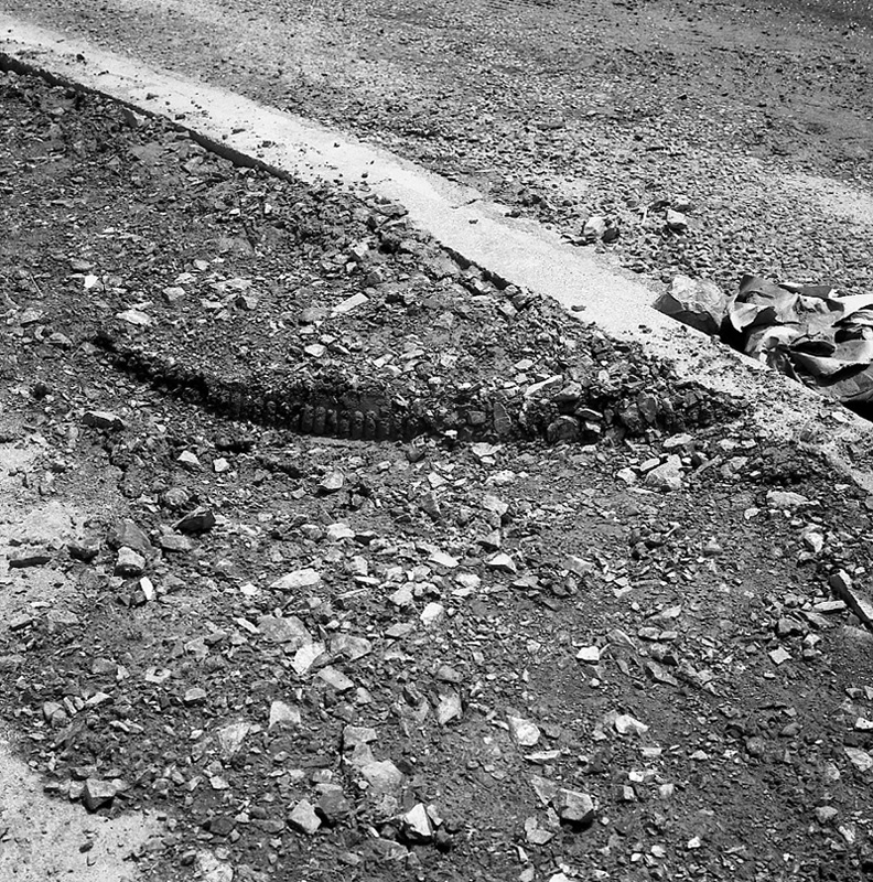 a. Paparangi Crescent