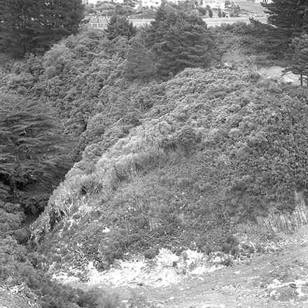 d. Walworth Road tip