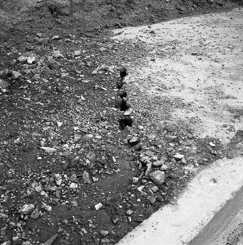 d. Paparangi Crescent