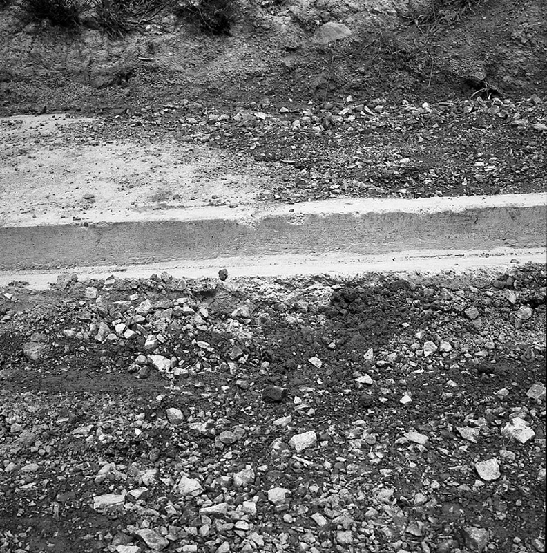 f. Paparangi Crescent