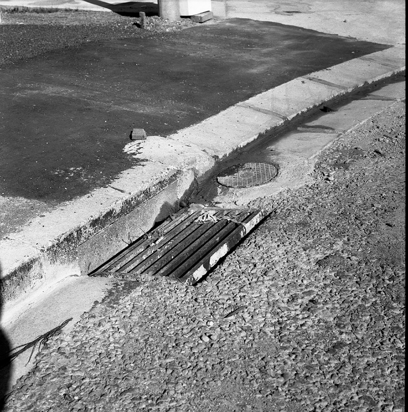 b. Breton Grove, Kingston