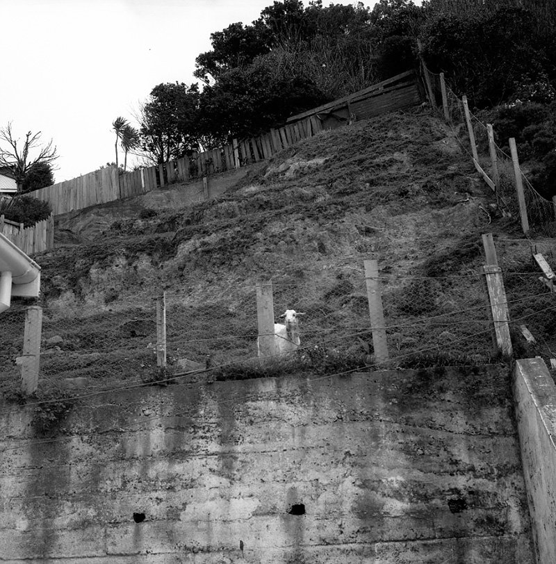 a. No 172 Derwent Street