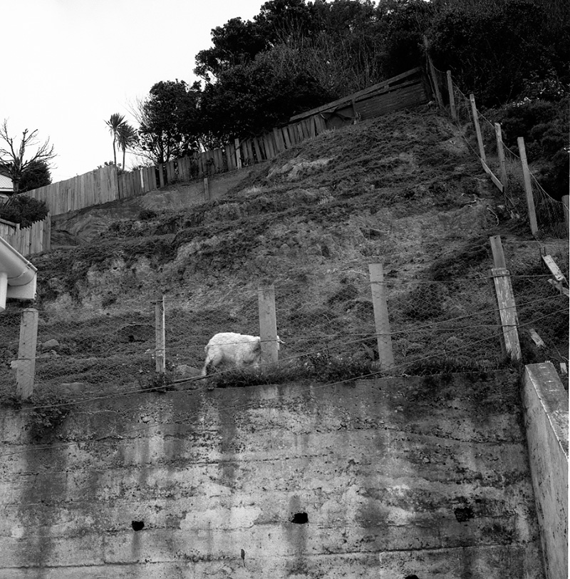 b. No 172 Derwent Street