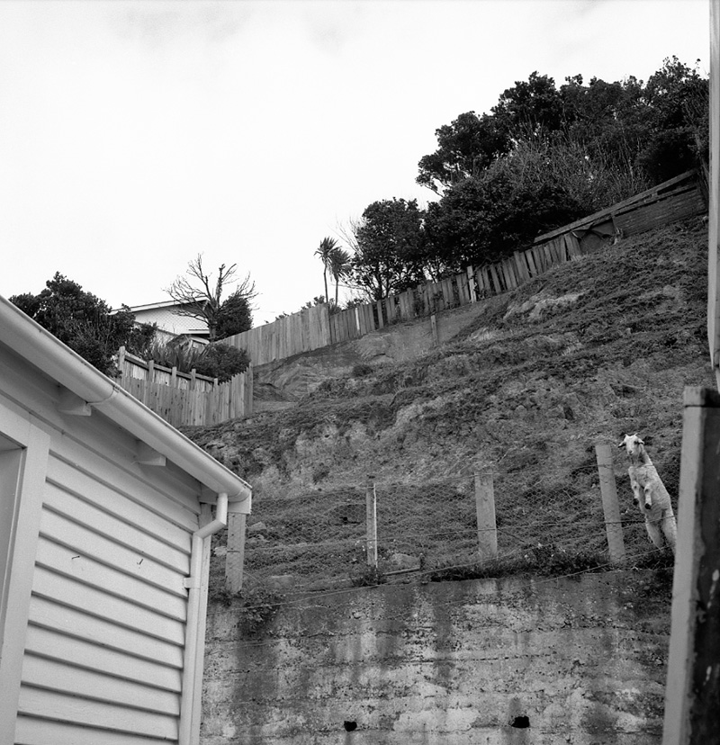 d. No 172 Derwent Street