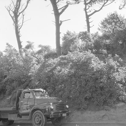 c. Hanson St, Newtown