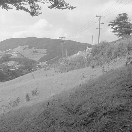 a. Job 3145, Karori
