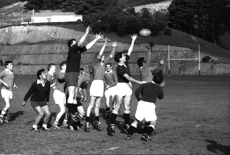 aq. Rugby, Martin Luckie Park