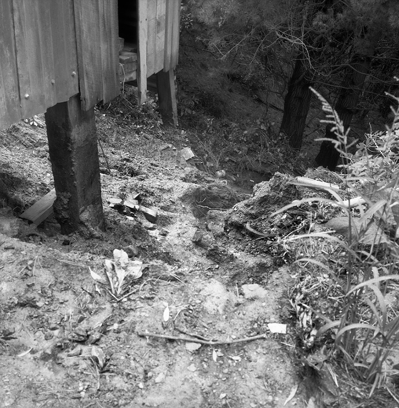 b. Flooding, Kaiwarra [Kaiwharawhara] Area