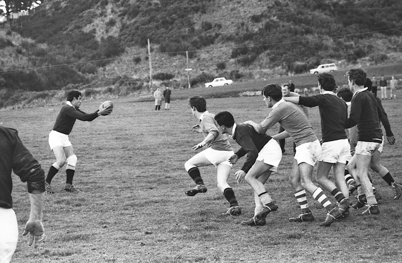 ay. Rugby, Martin Luckie Park