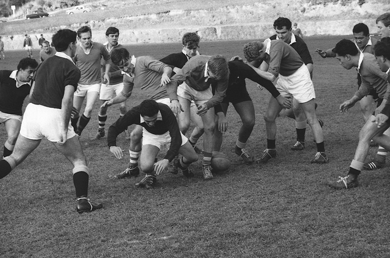 bf. Rugby, Martin Luckie Park