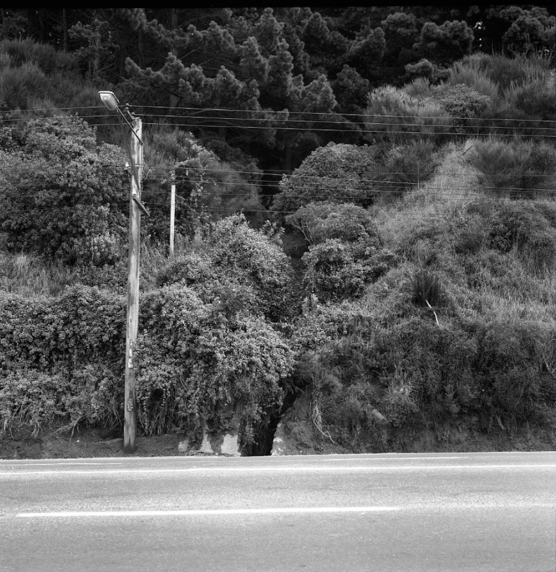 m. Flooding, Kaiwarra [Kaiwharawhara] Area