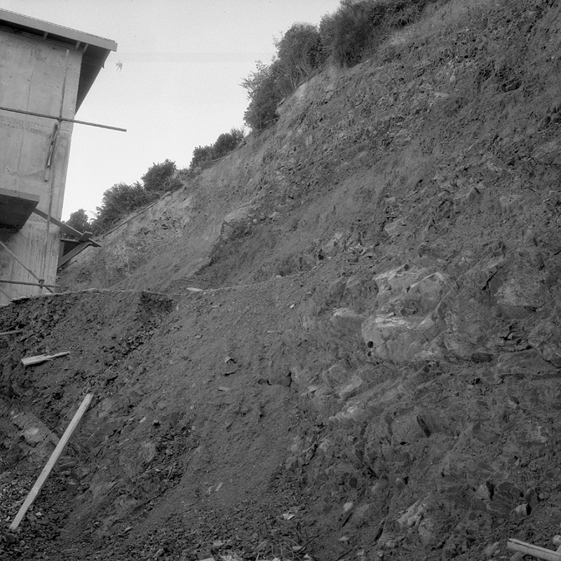 a. No 31 Homebush Road