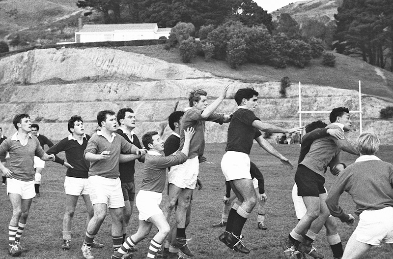 q. Rugby, Martin Luckie Park