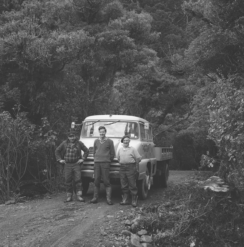 a. Staff, Kaitoke and Wainui