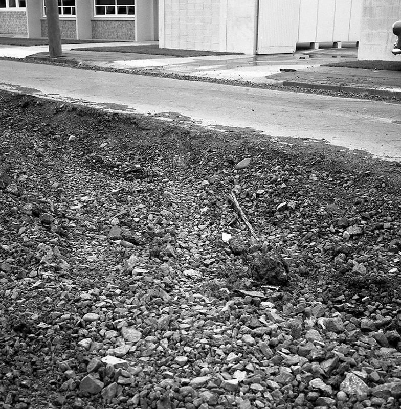 d. Parade Island Bay Traffic Prosecution