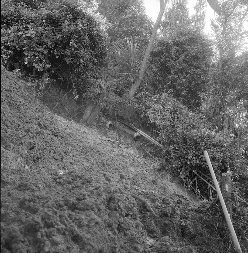 d. No 7 Tio Tio Road