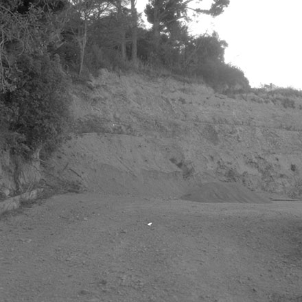 a. View of Wellington Harbour and Kelburn, from Cluny Avenue
