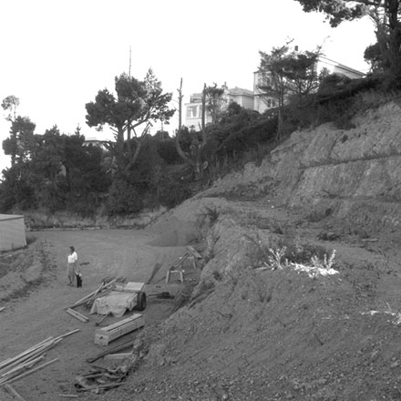 g. View of Wellington Harbour and Kelburn, from Cluny Avenue