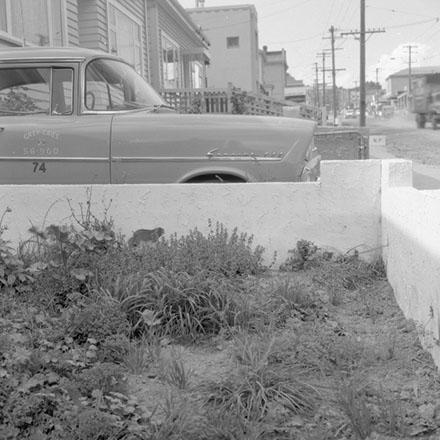 b. Constable St no's 61, 63&amp;65