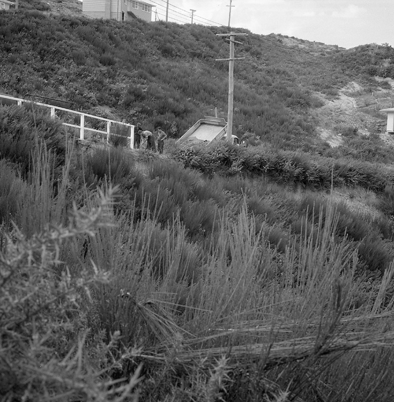 a. Rosalind Street, Ngaio