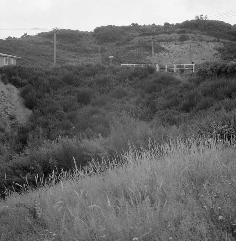 d. Rosalind Street, Ngaio