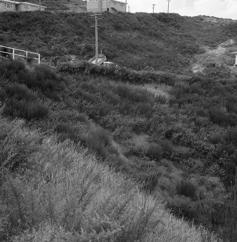 f. Rosalind Street, Ngaio