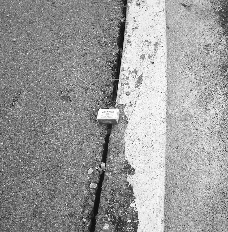 g. Rosalind Street, Ngaio