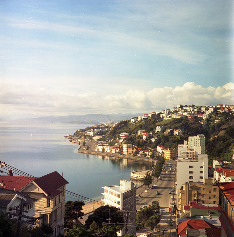 a. Oriental Bay from Palliser Road