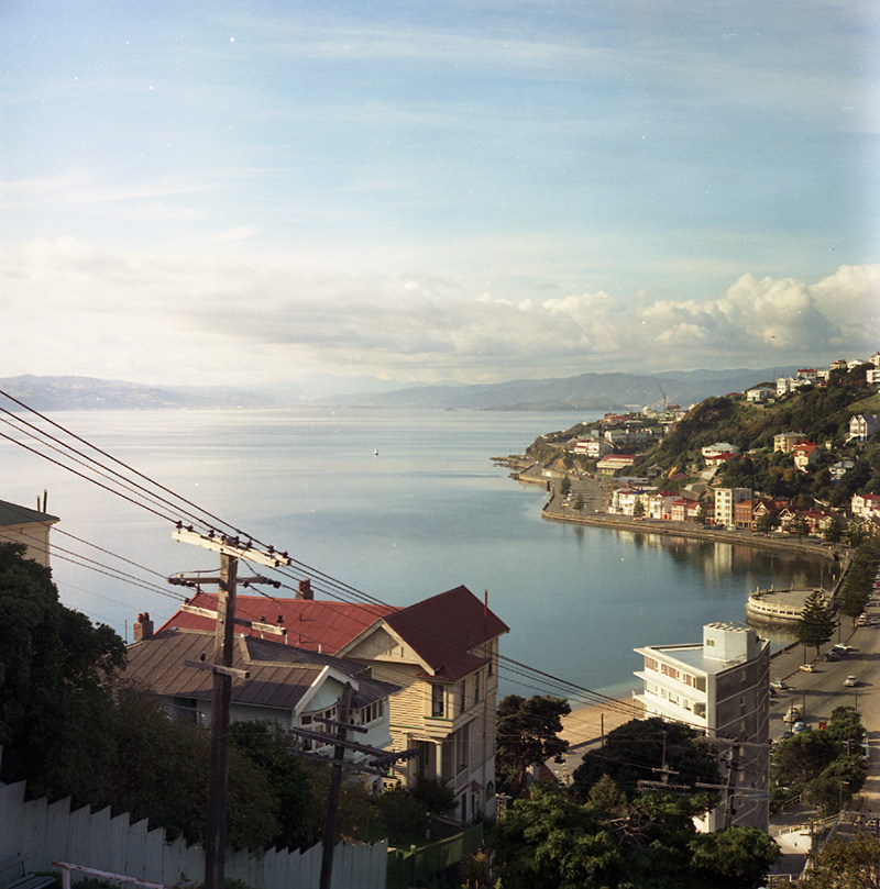 b. Oriental Bay from Palliser Road
