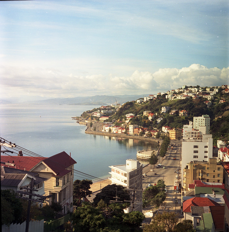 c. Oriental Bay from Palliser Road