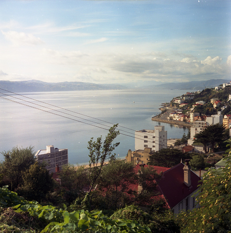 g. Oriental Bay from Palliser Road