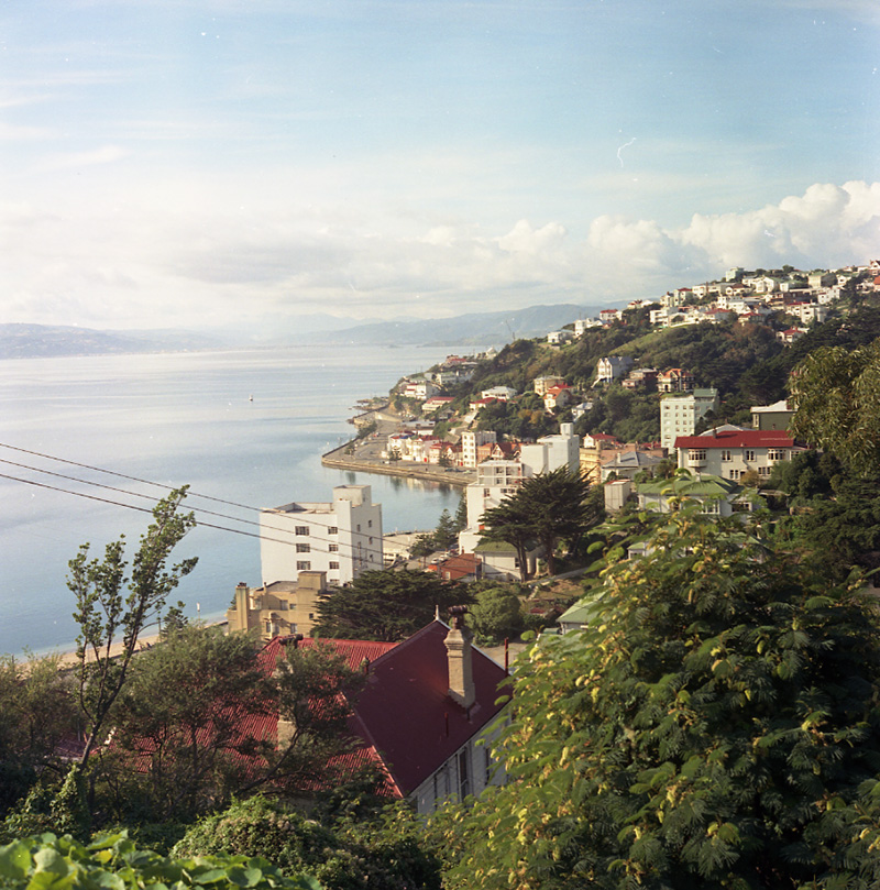 h. Oriental Bay from Palliser Road