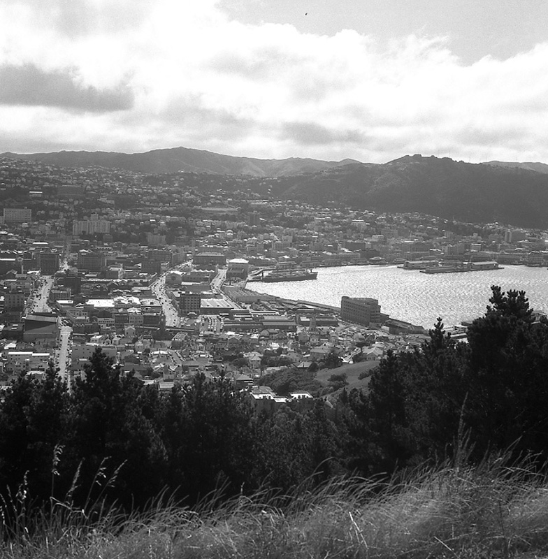 a. City from Mount Victoria