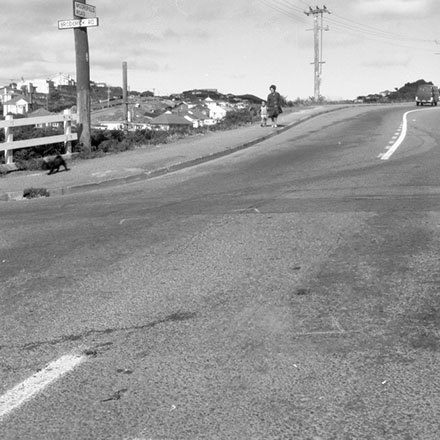 d. Moorefield Road, Johnsonville