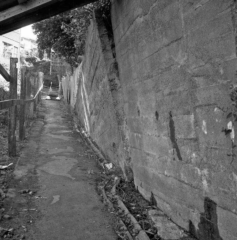 c. No 45 Springfield Terrace, Wall