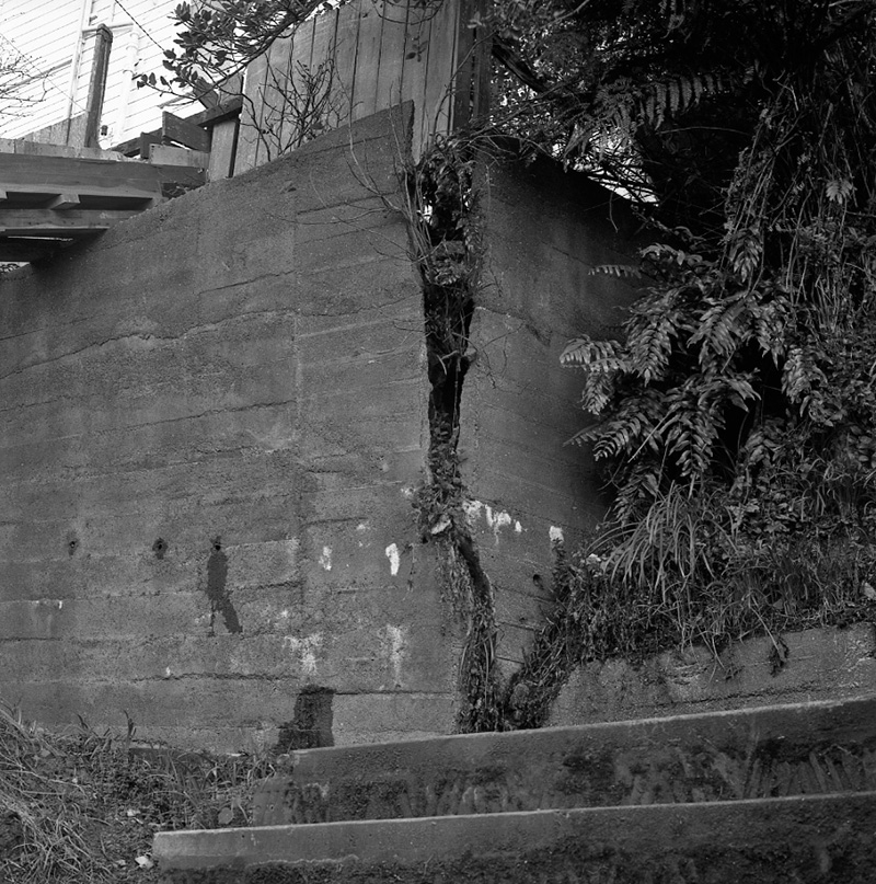 d. No 45 Springfield Terrace, Wall