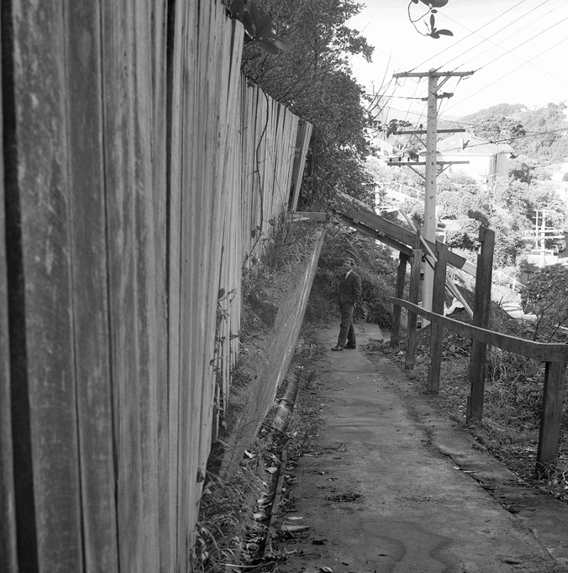 e. No 45 Springfield Terrace, Wall