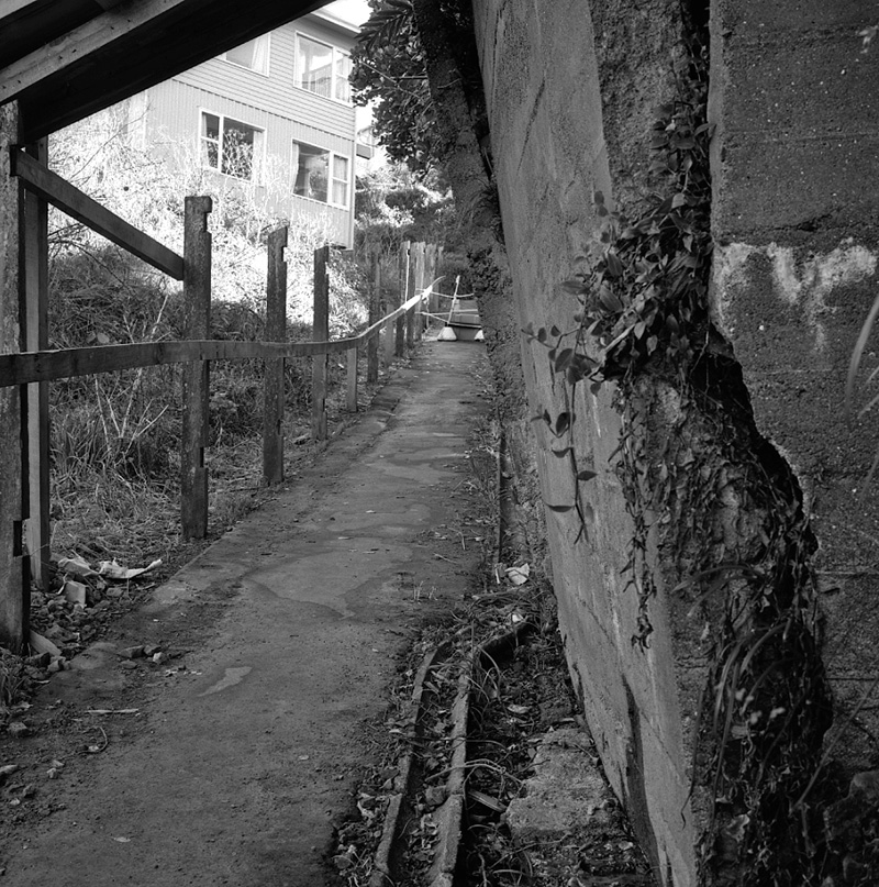 f. No 45 Springfield Terrace, Wall