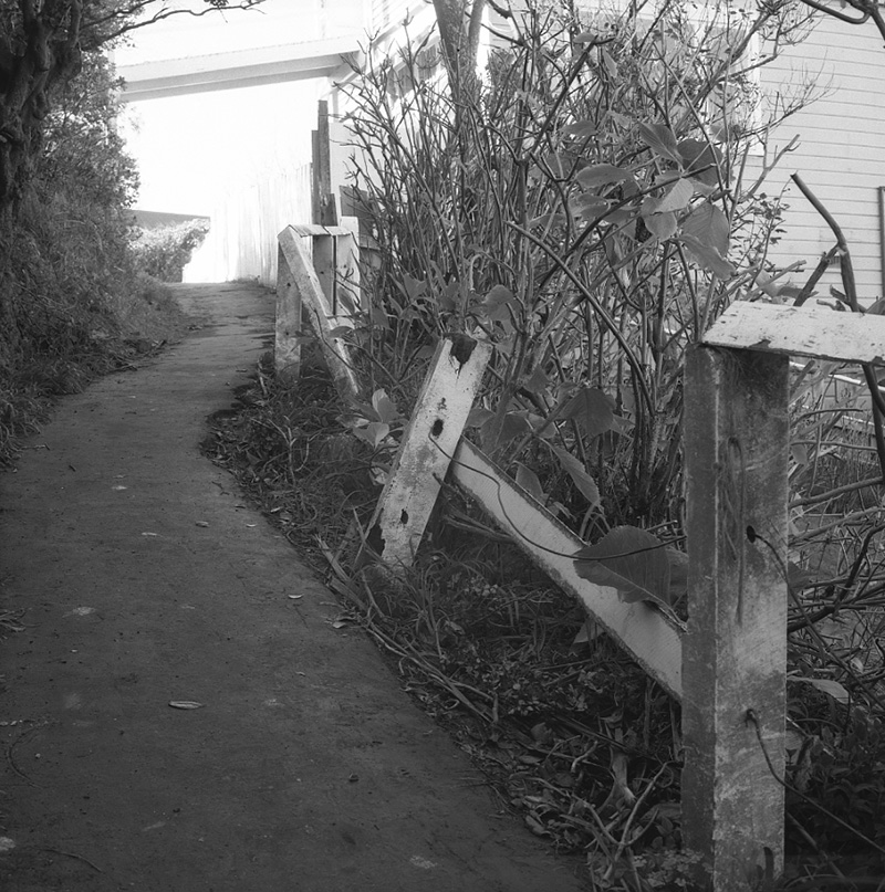 g. No 45 Springfield Terrace, Wall