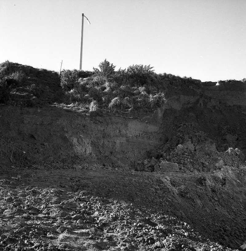 h. No 52 Batchelor Street