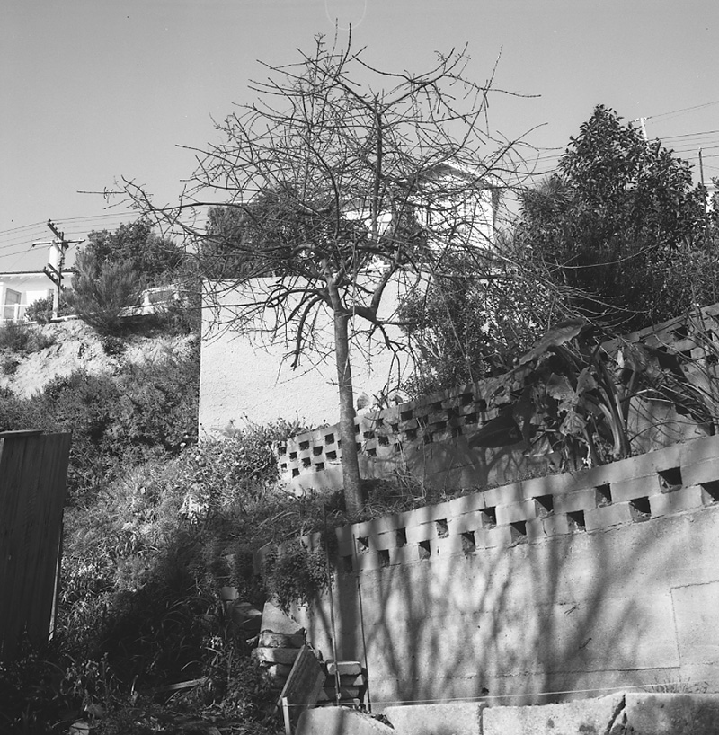 f. No 2 Anderson Terrace